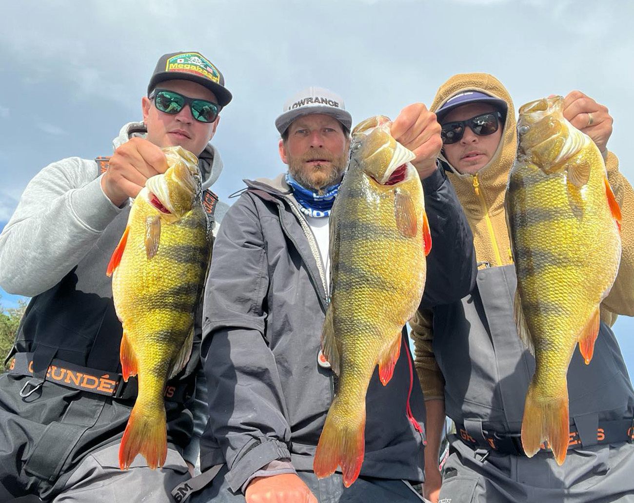 RenzStein Beastly Minnow